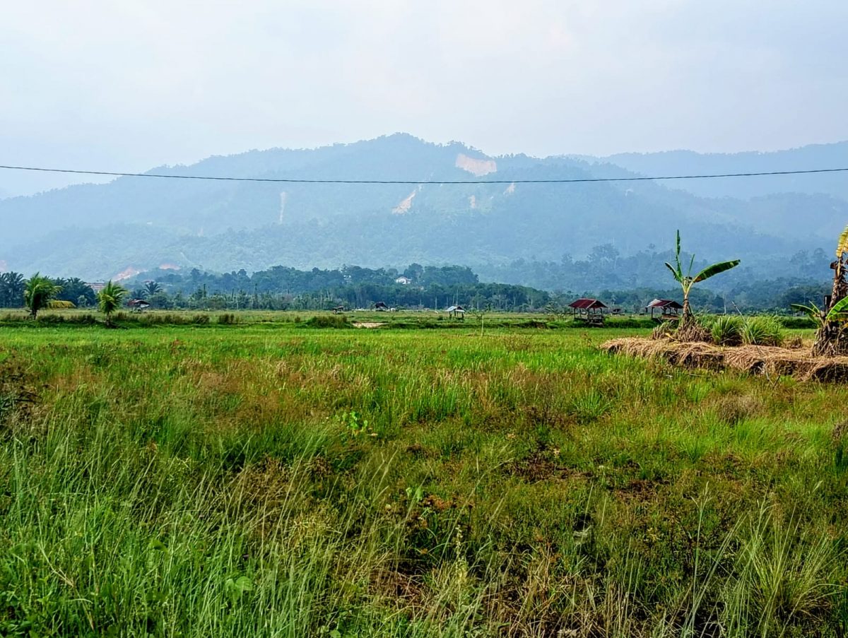 “Dorong Kepemimpinan Perempuan Petani & Pulihkan Lahan Pertanian Pangan Paska Bencana Ekologis Sumatera.”